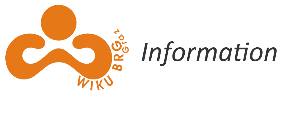Wirtschaftskundliches BRG Graz